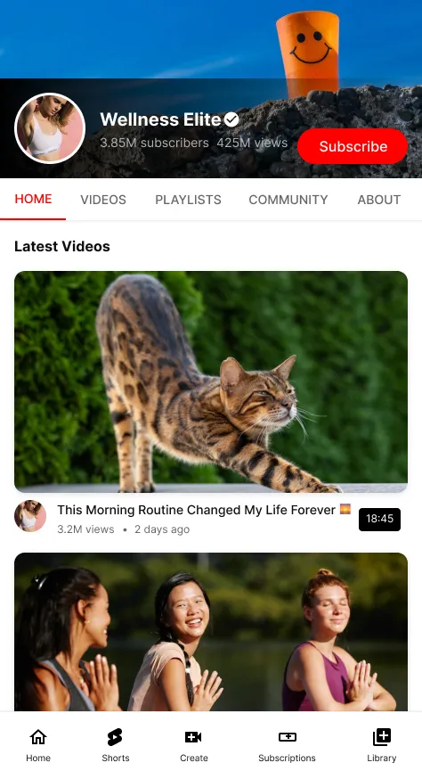 YouTube video marketing by AWDS