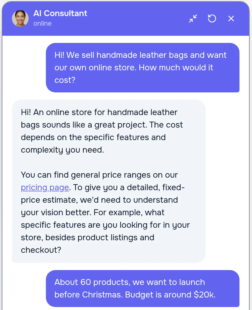 A live conversation: a visitor asks what an online store costs, the consultant clarifies the task and builds a brief