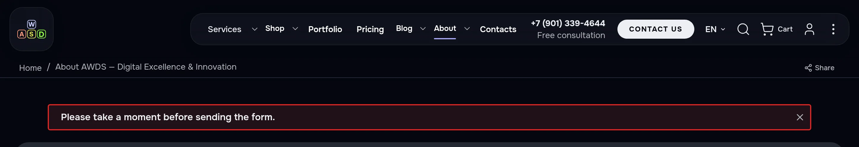 Dark theme: the message after sending too fast — “Please take a moment before sending the form.”