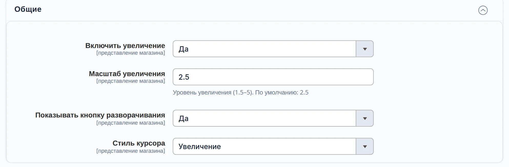 Настройки увеличения в админке: включено, масштаб 2,5, кнопка разворачивания, курсор-лупа